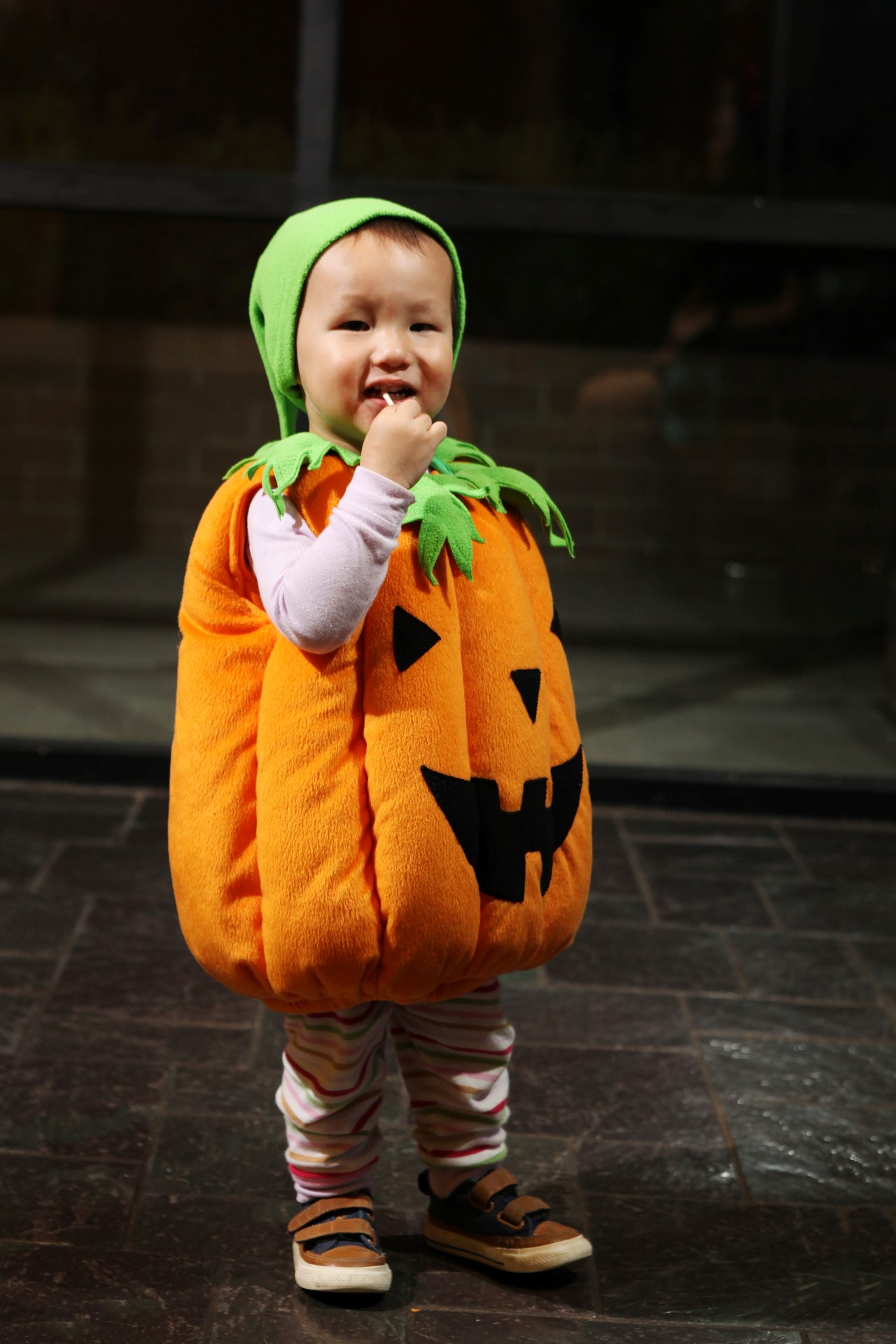 IMG_3051 (Custom).jpg