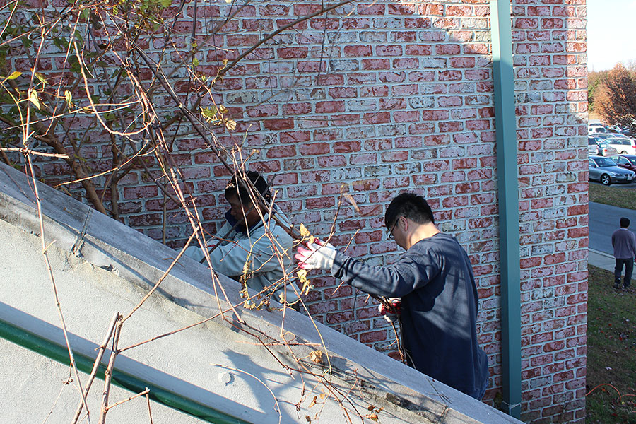 11102013-building (17).jpg