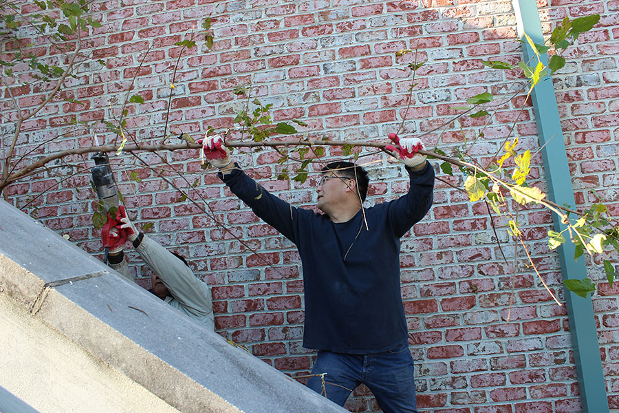 11102013-building (2).jpg