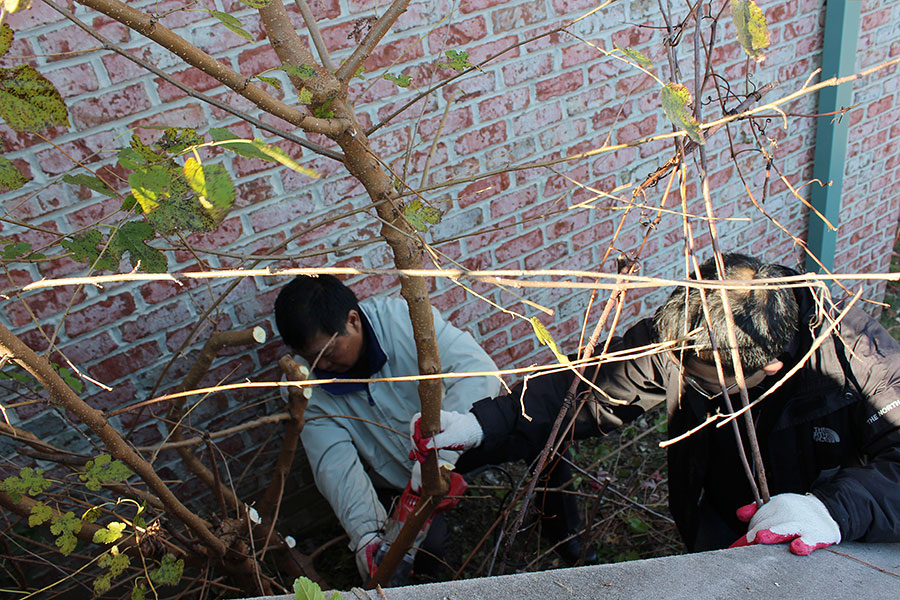 11102013-building (1).jpg